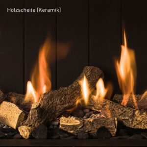 Trimline Fires Trimline 83 Panorama AR Gas Kamineinsatz G25